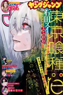 fate/staynight